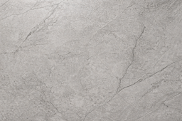 DELACOUR FOSSIL view 1