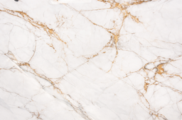 SPIDER GOLD GLOSSY view 1