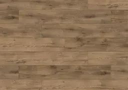 West Side Oak view 1