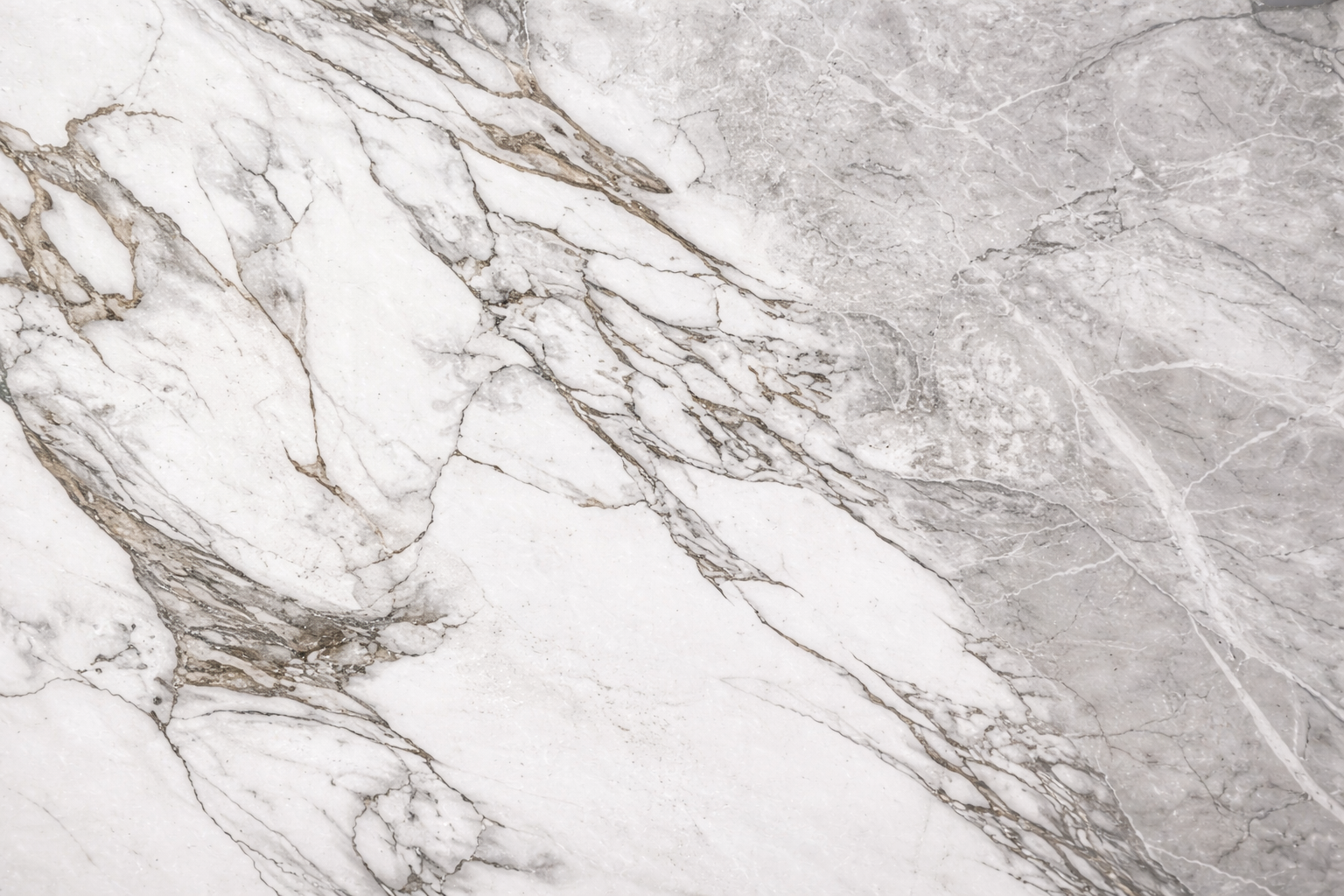 NITRO GREY MATT CARVING